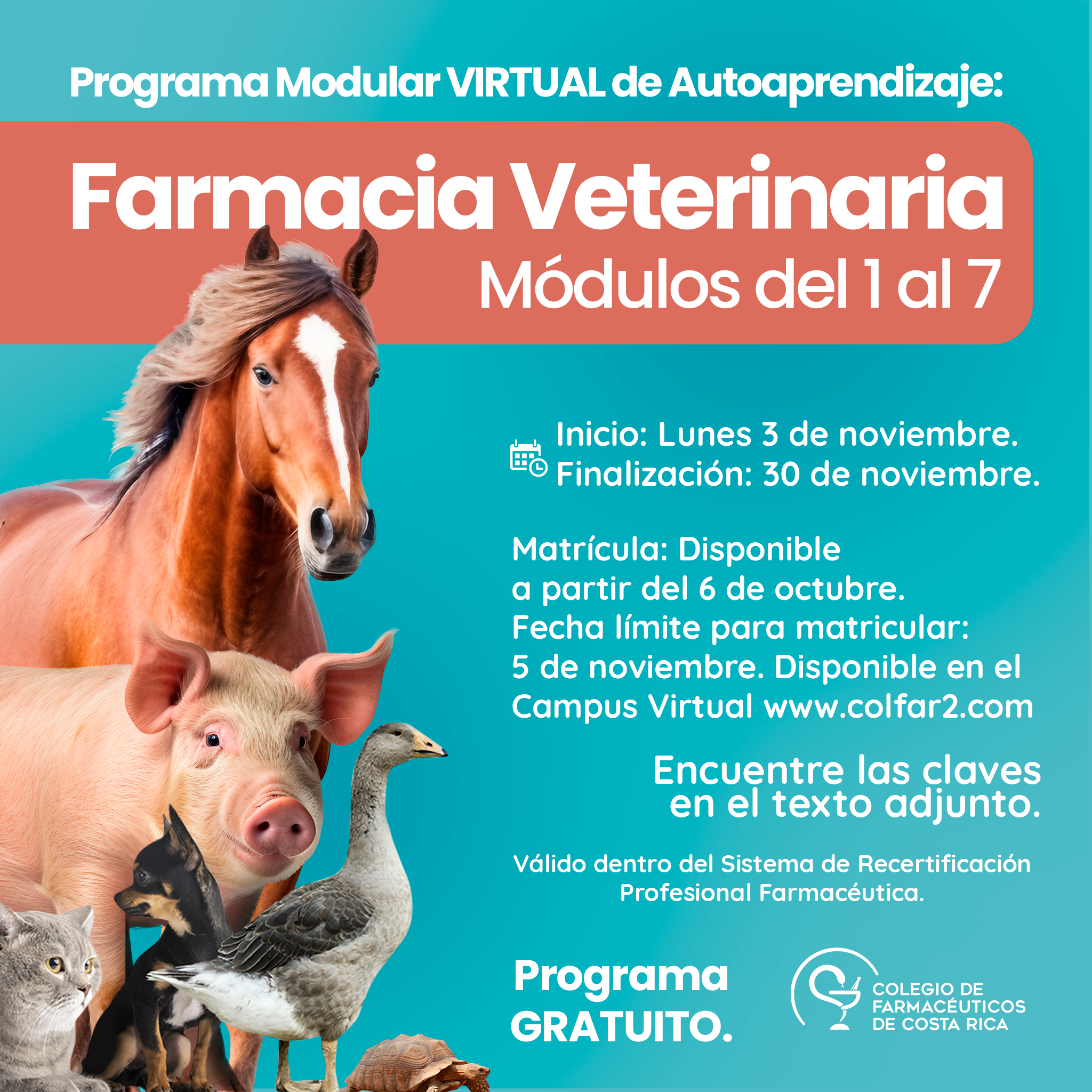 curso
