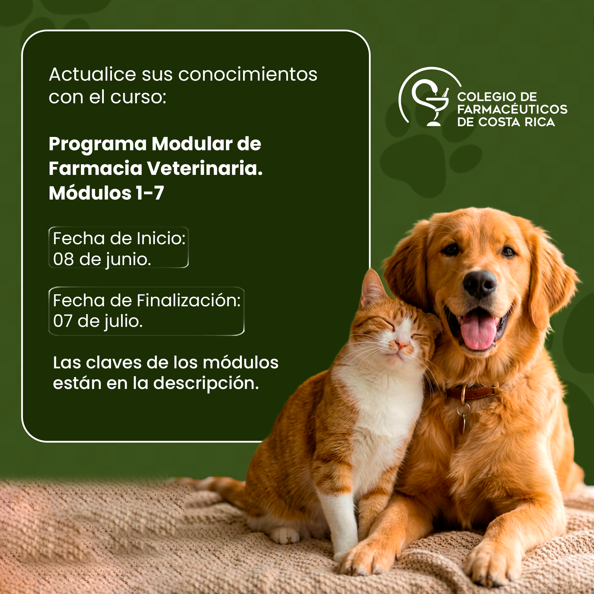 curso
