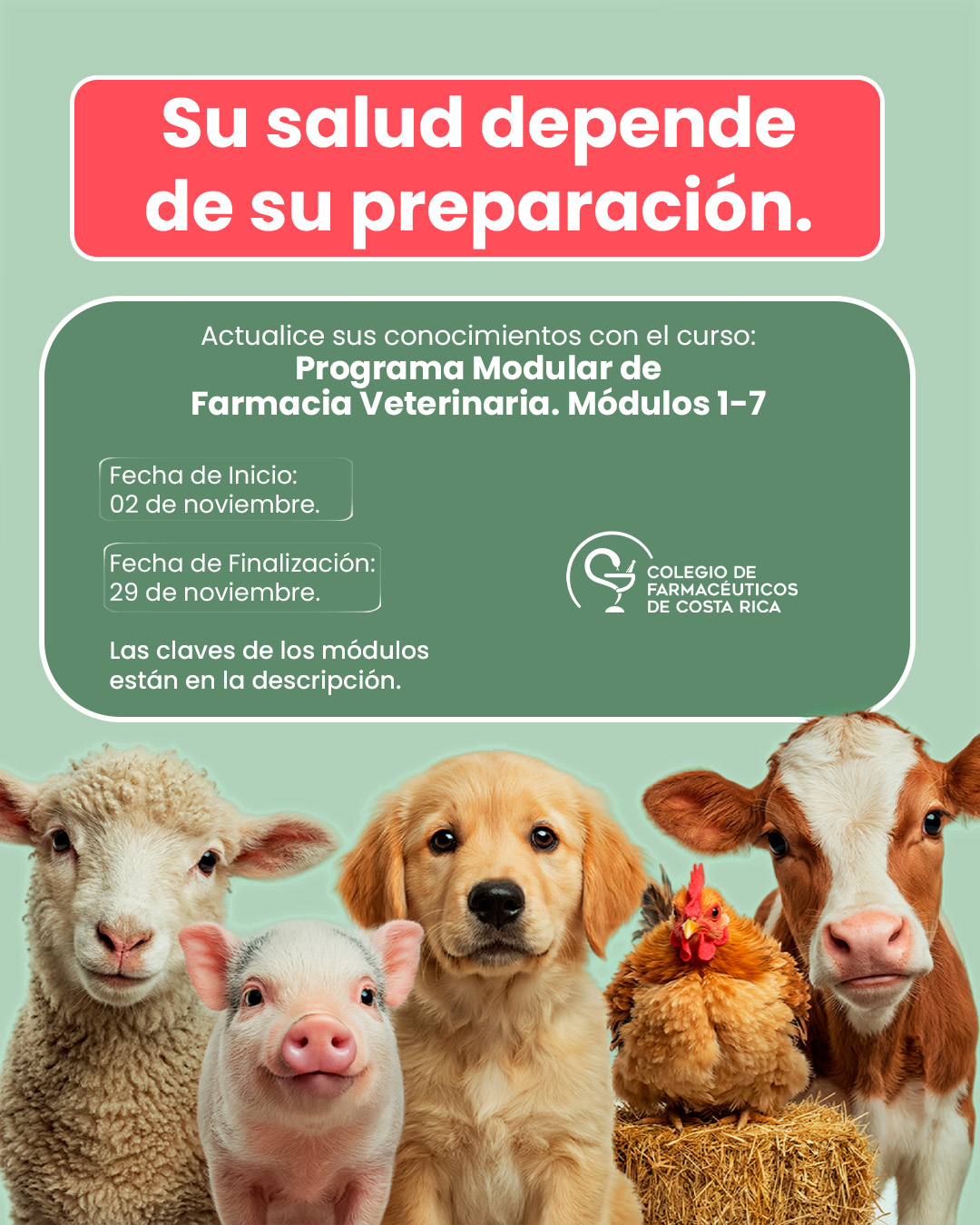curso